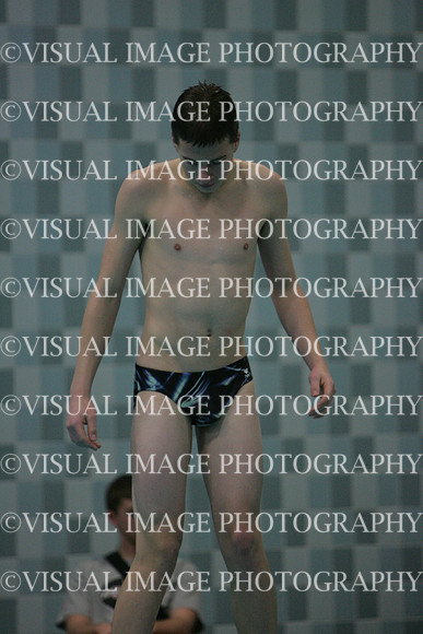wisw10_dive_2010