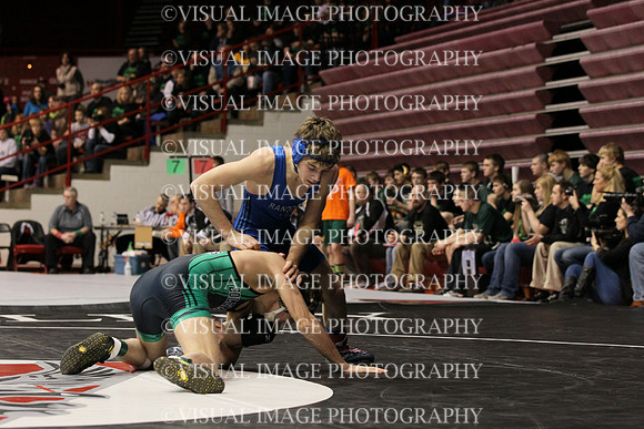 WITWR_14_S31009