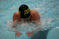 wisw10_1breast_2012