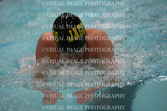 wisw10_1breast_2012