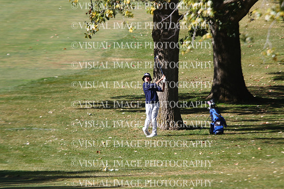 ILGF_24_T203024