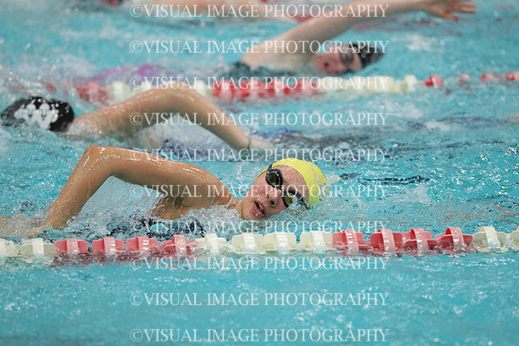 WISWG_16_S10027