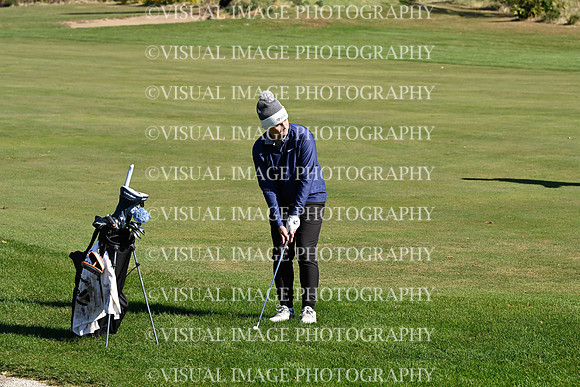 ILGF_24_IND10036