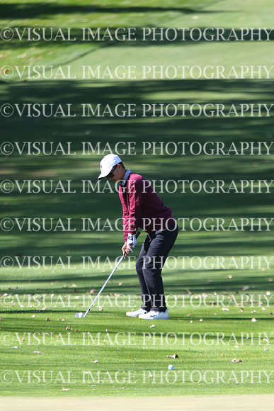 ILGF_24_T201033