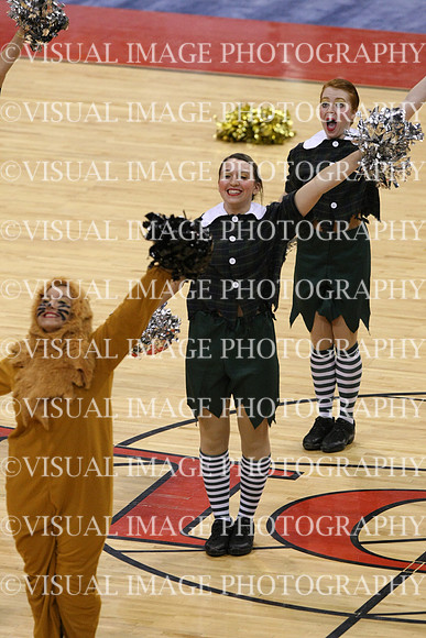 TDIHS12_POM_14034