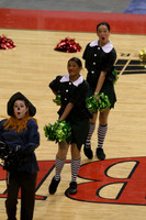TDIHS12_POM_14016
