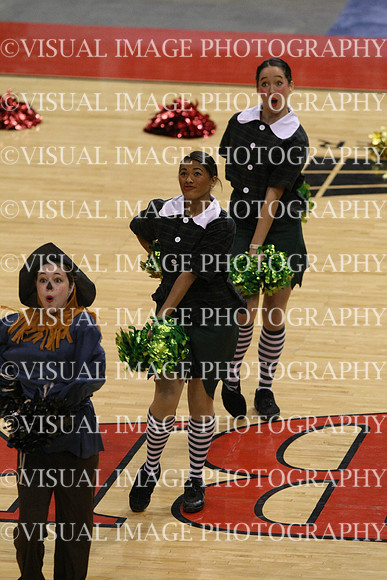 TDIHS12_POM_14016