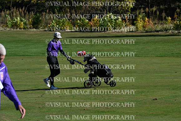 ILGF_24_IND10010