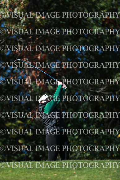 WIGFG_24_F20039