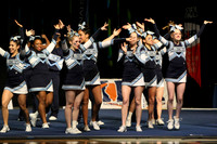 ILCHEER_11_C12009
