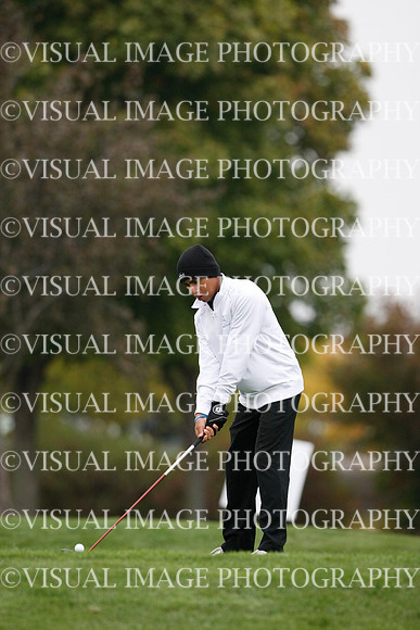 ILGF_13_T306016