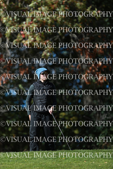 WIGFG_24_F20029