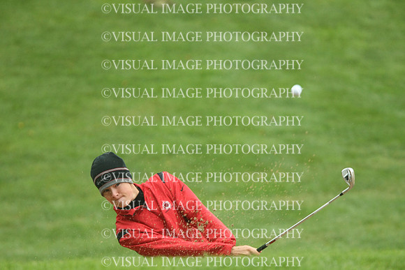 wigf_10_i1394