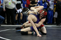 wiwr10_119_c2012