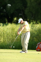 wigf_10_t22013