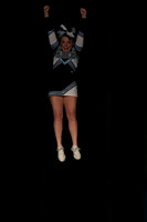 ILCHEER_11_C12016