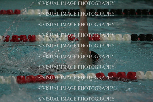 wiswg09_1back_2033