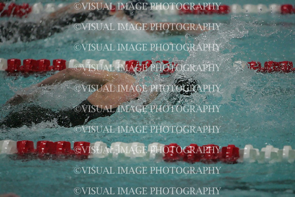 wisw09_1free_2008