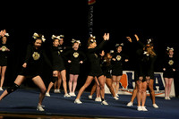 ILCHEER_11_M18007