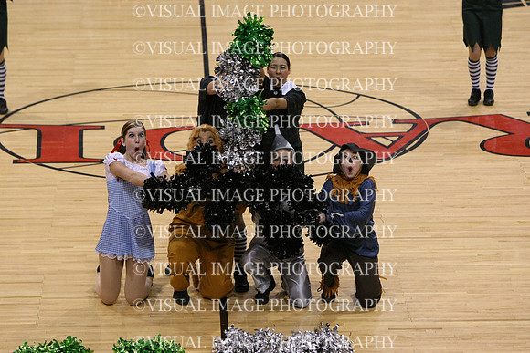 TDIHS12_POM_14028