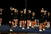 ILCHEER_11_M18006