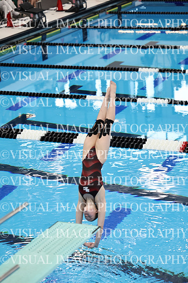 ILSWG24_DIVE_F0036