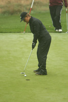 WIGFG_13_T201019
