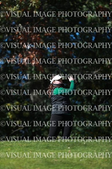 WIGFG_24_F20034