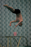 wisw09_dv_1013