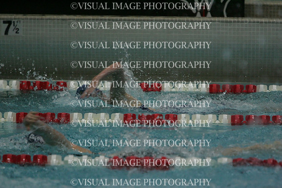 wiswg09_2free_2047