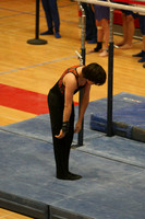 Parallel Bars