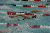 wiswg09_4frelay_2002