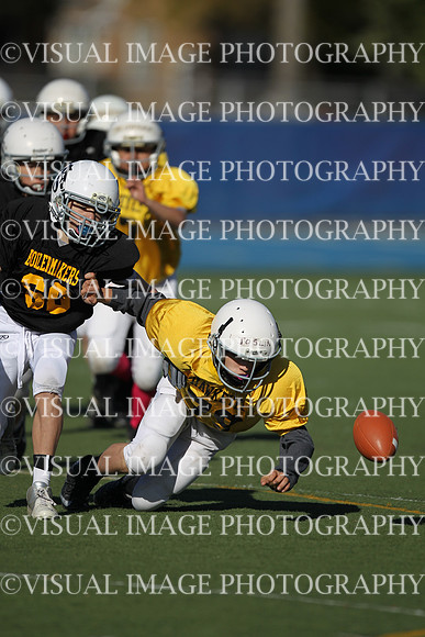 WSJFB_13_1027