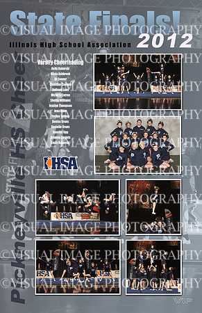 Pickneyville_chr12