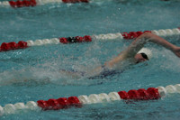 wiswg09_2frelay_2015