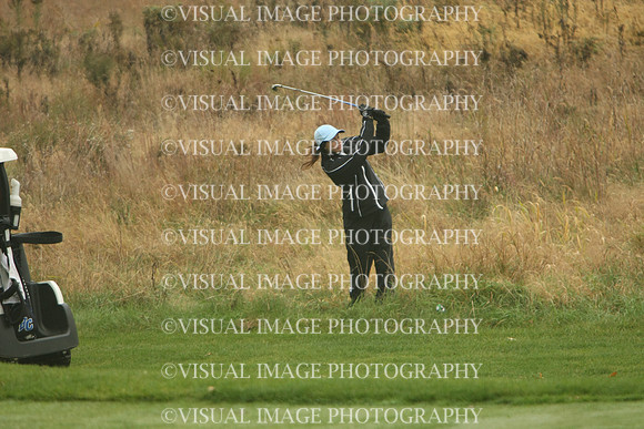 WIGFG_13_T102013