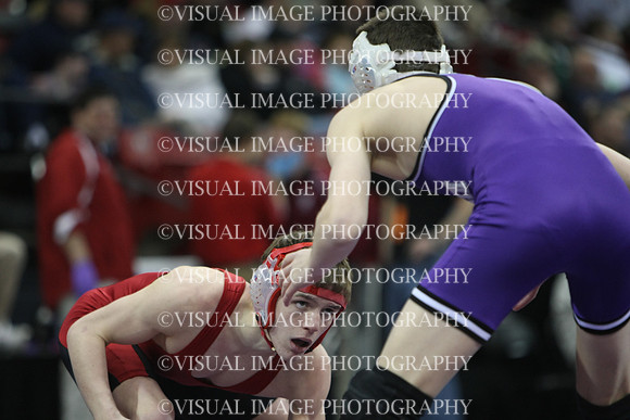 wiwr10_119_f2011