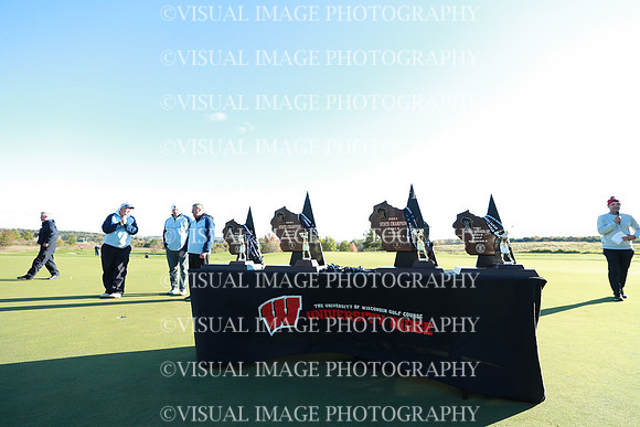 WIGFG_24_A2001