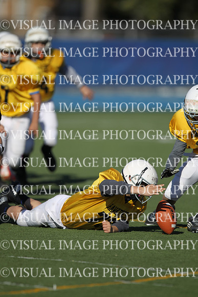 WSJFB_13_1029