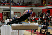Pommel Horse