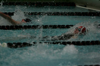 wiswg09_1back_2011