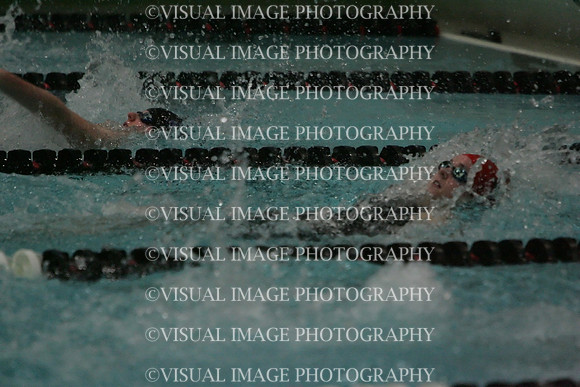 wiswg09_1back_2011
