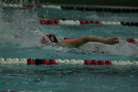 wiswg09_2frelay_2007