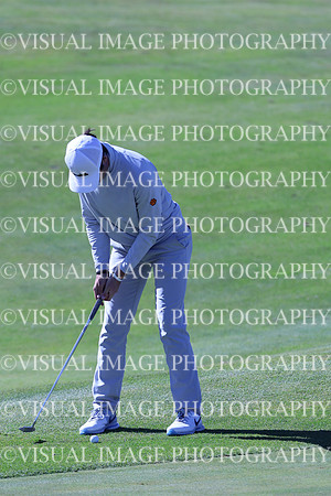 ILGF_24_T3120049