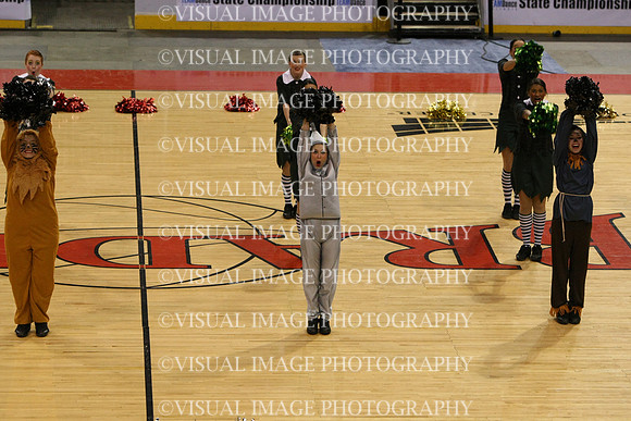 TDIHS12_POM_14013