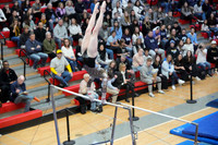 ILGYMG25_BARS_F0014