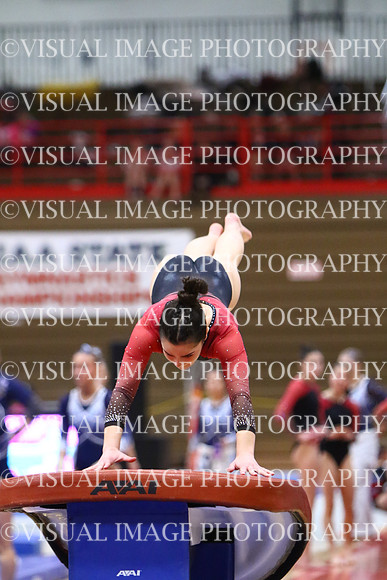 WIGYMG25_VAULT_T006