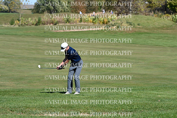 ILGF_24_T106015