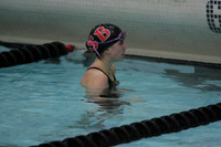 wiswg09_1free_2009