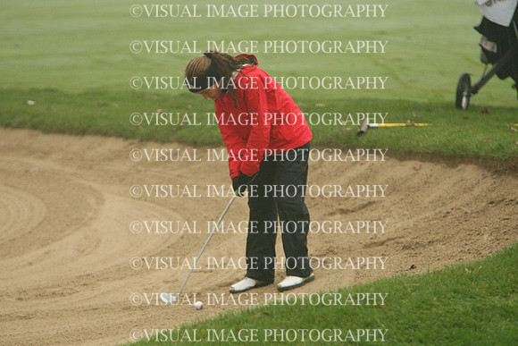 WIGFG_13_T206012